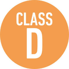 Class D Amp